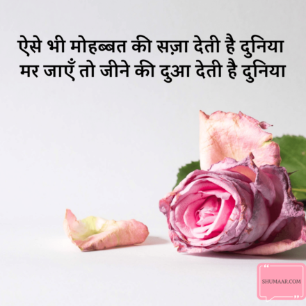TOP 50 : Matlabi Duniya Shayari Status - मतलबी दुनिया शायरी स्टेटस