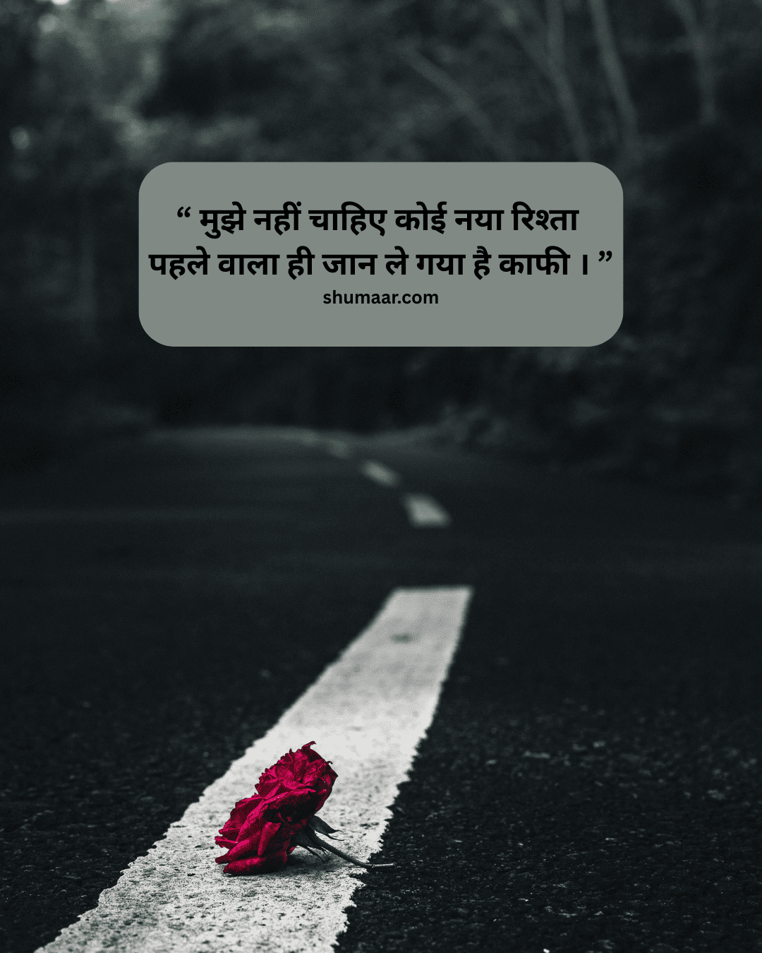  broken shayari, break heart shayari, broken heart hindi shayari, toota dil shayari in hindi, Heart Breaking Shayari status, Sad Heart Break Hindi Shayari