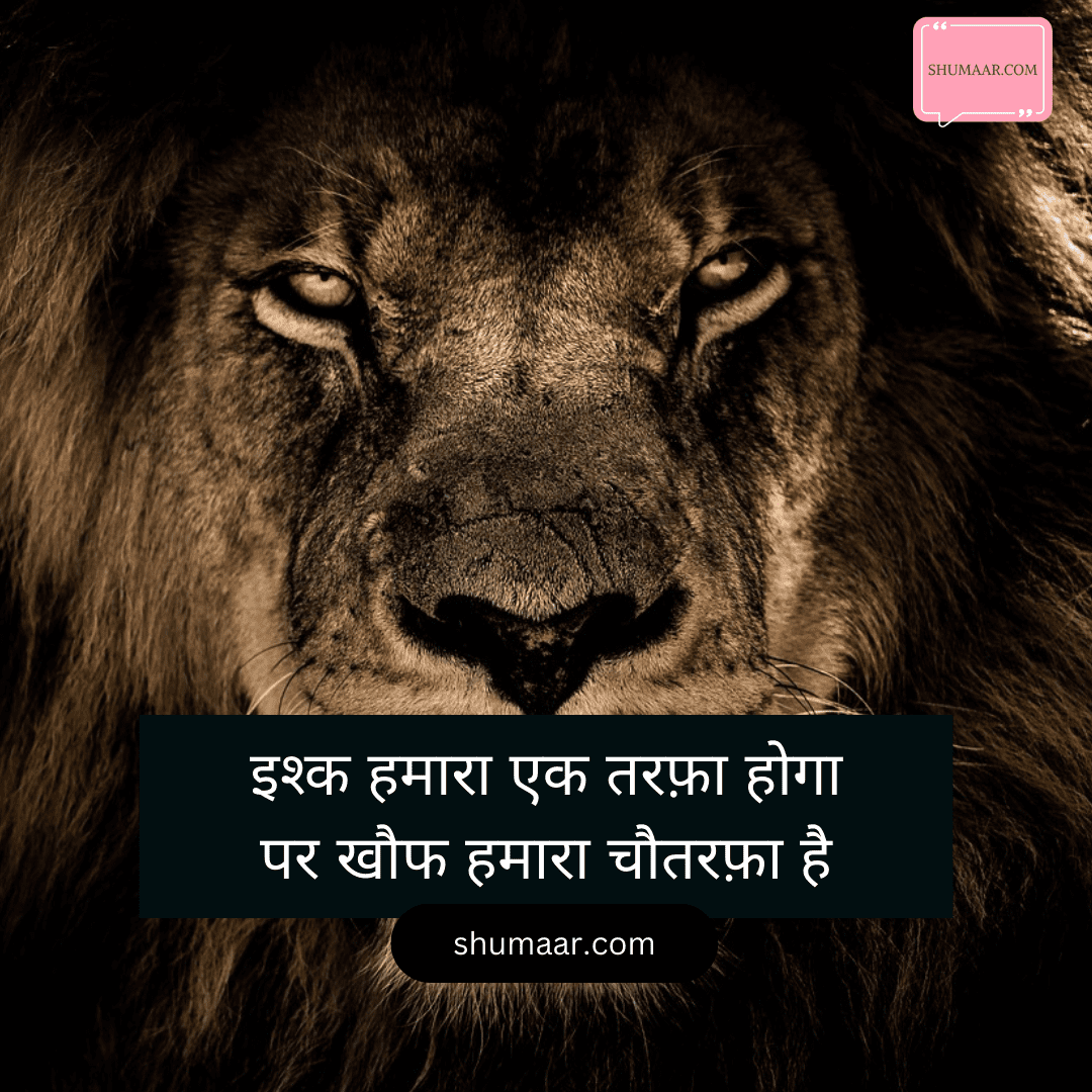 attitude shayari hindi, attitude shayari 2 line, attitude status in hindi, attitude hindi, attitude shayari english, quotes hindi attitude, full attitude shayari 2 line, whatsapp attitude shayari status, fb shayari attitude